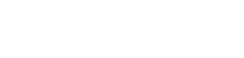 Finanziato dall' Unione Europea